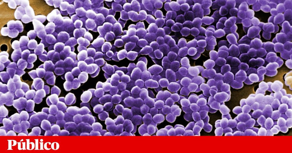 As “superbactérias” continuam a resistir aos antibióticos de última linha