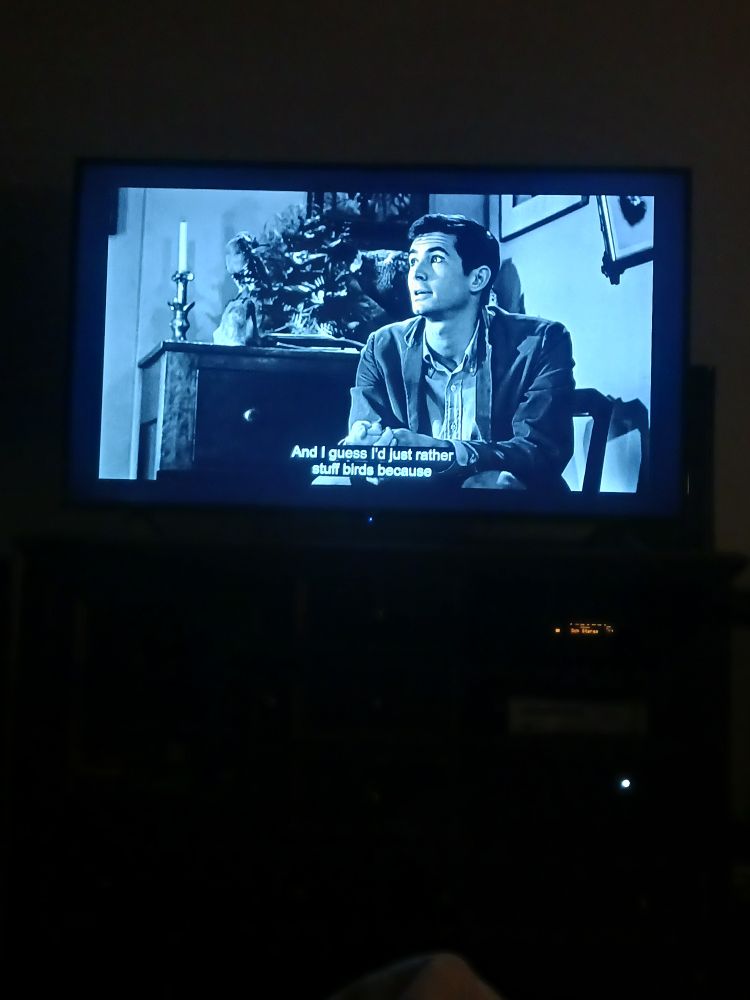 Norman Bates say things I guess I'd just rather stuff birds because..