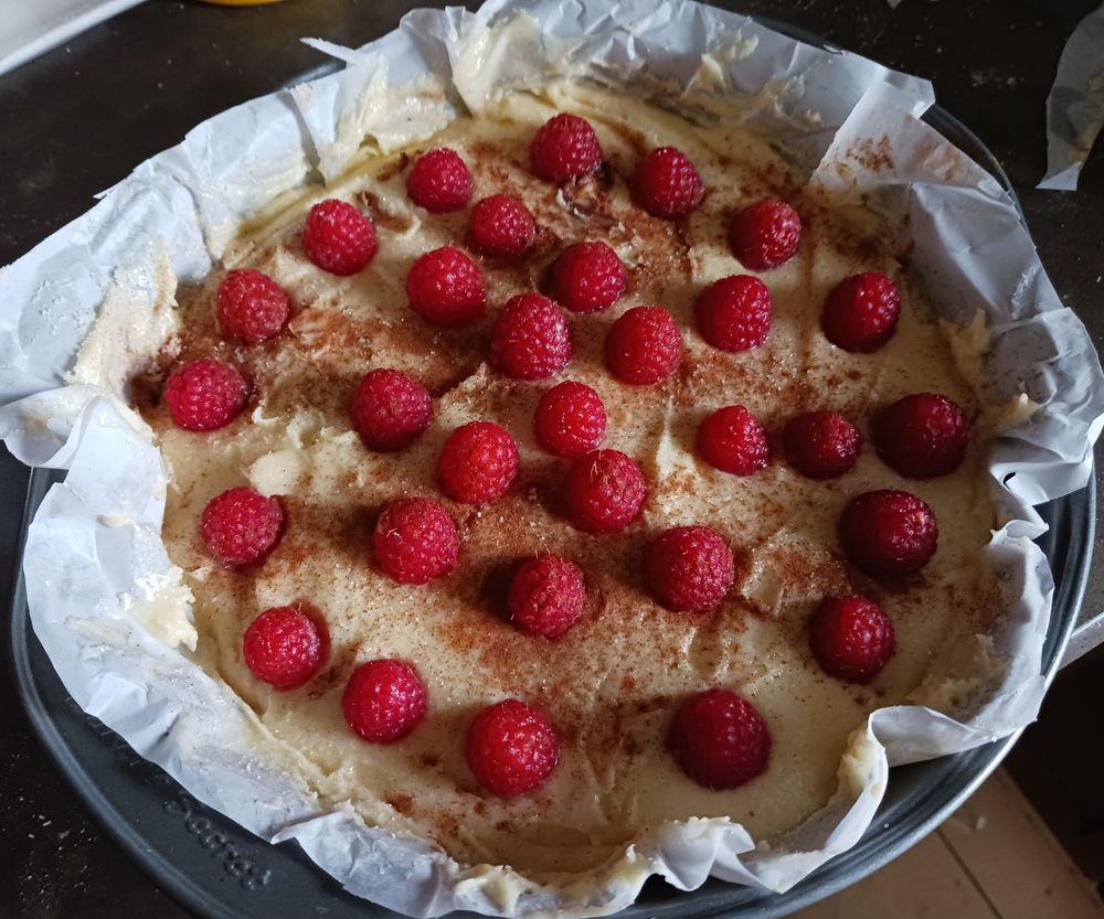 A raspberry topped cake in a pan on my stove, about to go in the oven 