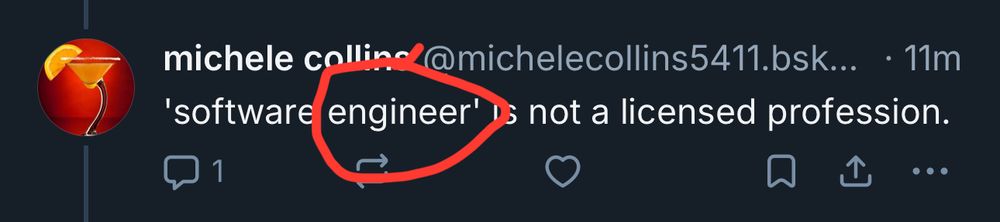 ‘Software ENGINEER’