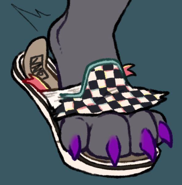 Shark paw bursting out of a checkered vans shoe mid transformation