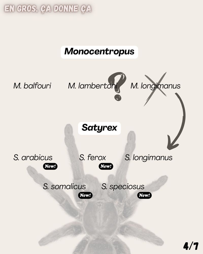 En schéma ça donne ça

image avec taxonomie ancienne puis nouvelle