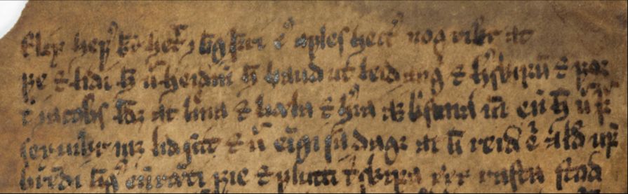 Detail from a mid-fifteenth-century Icelandic manuscript containing the opening of the Saga of Flores and Blankiflor. The text includes the name 'jakubs landi', i.e., Saint James' Land.