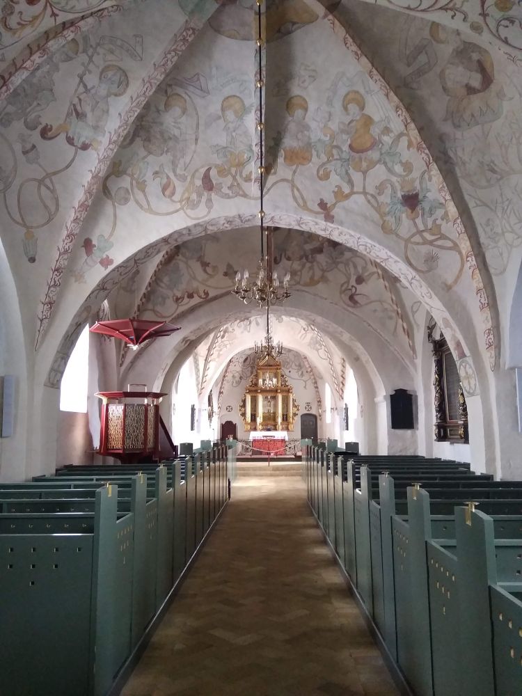 Choir of a thirteenth-century Danish parish church. The nave is quite narrow, and the vaults are covered with numerous pairs of haloed figures that appear to burst out of flower bulbs. The aisle runs along green wooden pews towards the golden eighteenth-century Baroque altarpiece. 