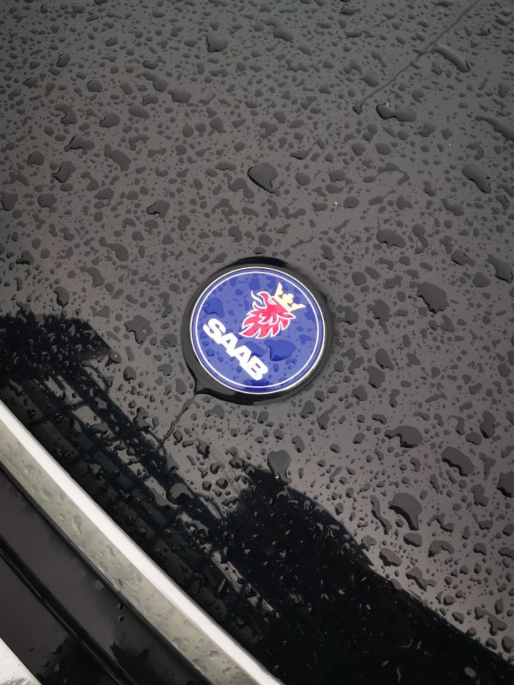 Saab badge on the bonnet of the black Saab 9-3 wagon. 