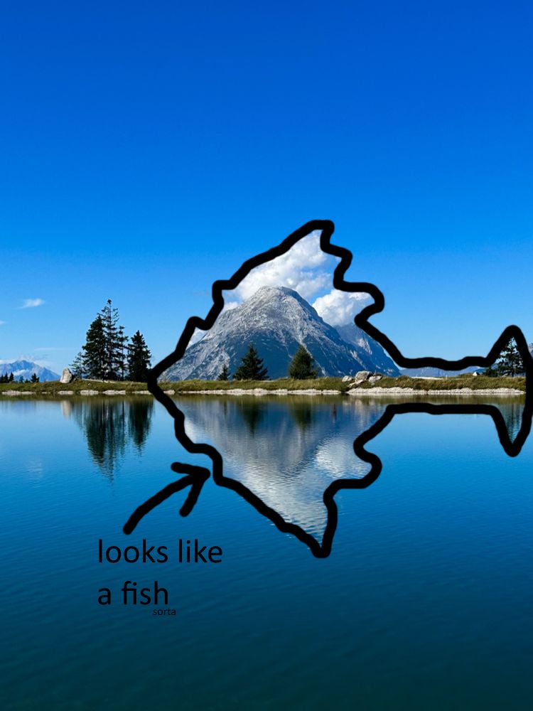 Comment image
