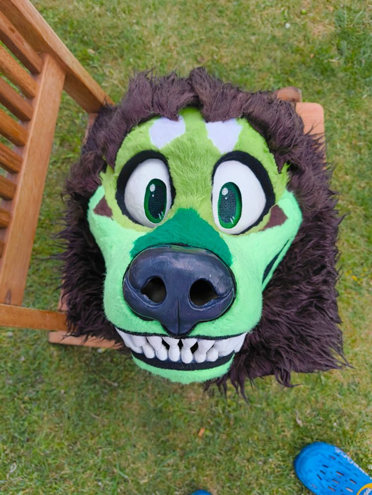Fursuit head drying outside