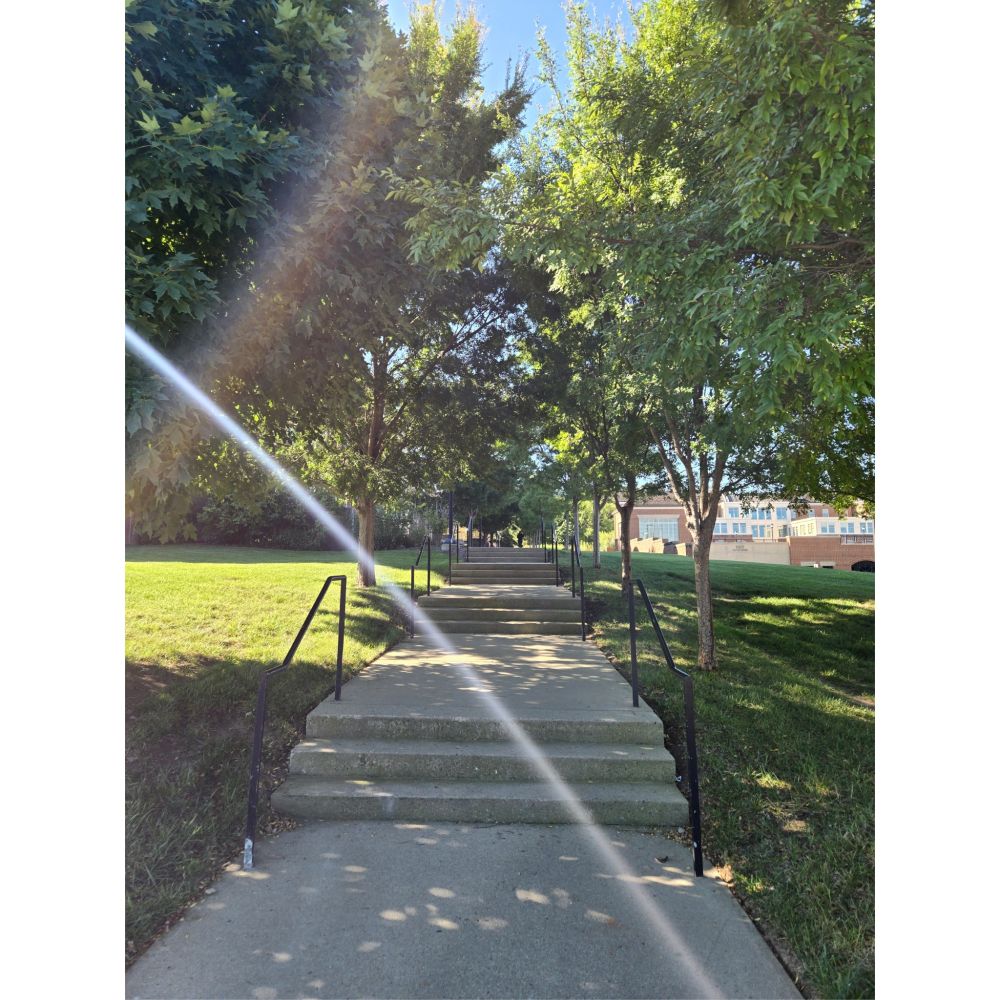 The steps to go up to the Psychology Building at Miami University 