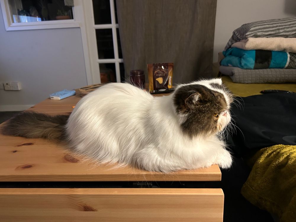 MM not staring at you 