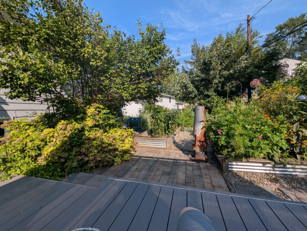 Backyard from a deck running riot with flowers, herbs, and native plants 
