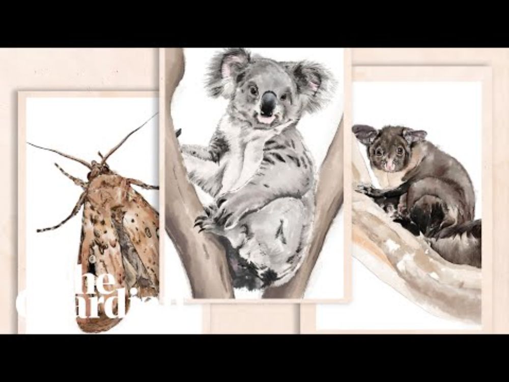 Last chance: the extinction crisis this election is ignoring