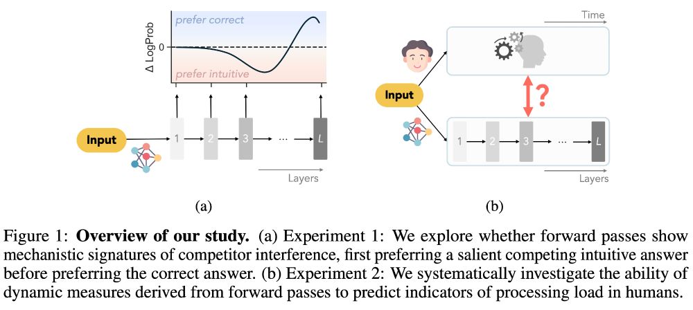 Screenshot of Figure 1, which has two panels labeled (a) and (b). The caption states the following. Figure 1: Overview of our study. (a) Experiment 1: We explore whether forward passes show mechanistic signatures of competitor interference, first preferring a salient competing intuitive answer before preferring the correct answer. (b) Experiment 2: We systematically investigate the ability of dynamic measures derived from forward passes to predict indicators of processing load in humans.