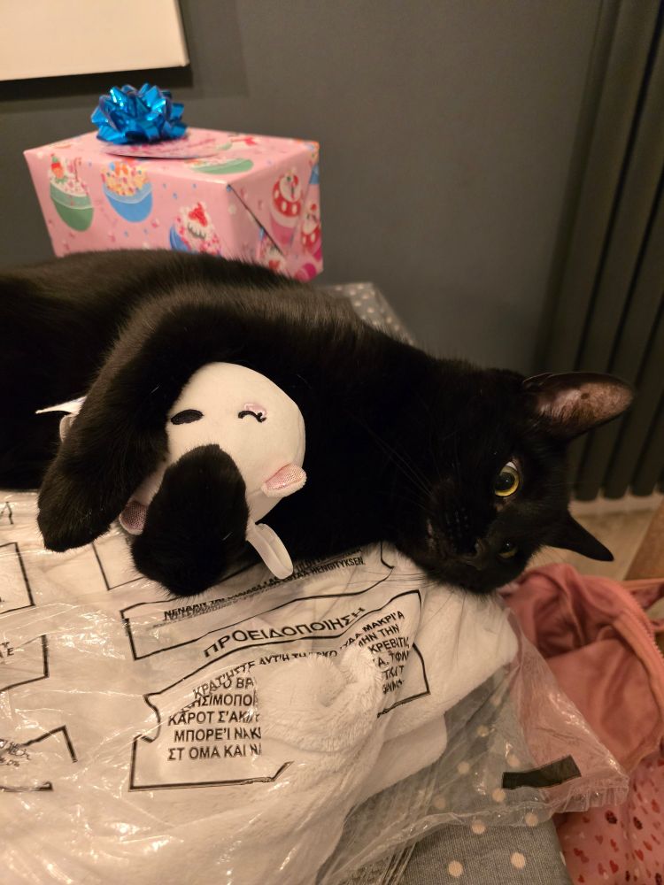Cat lying on the table holding a plush toy