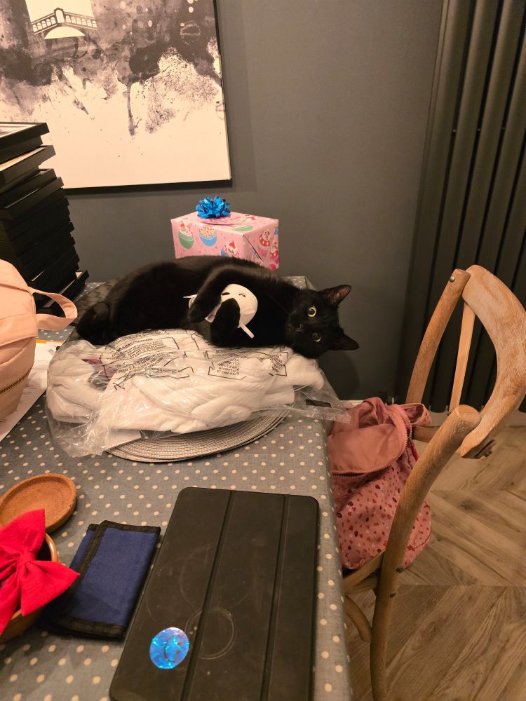 Cat lying on the table holding a plush toy