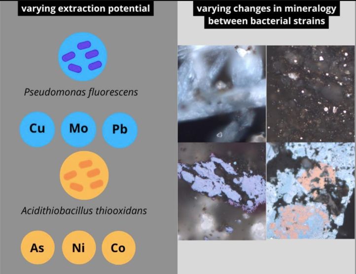 Source: Part of figure from the original study