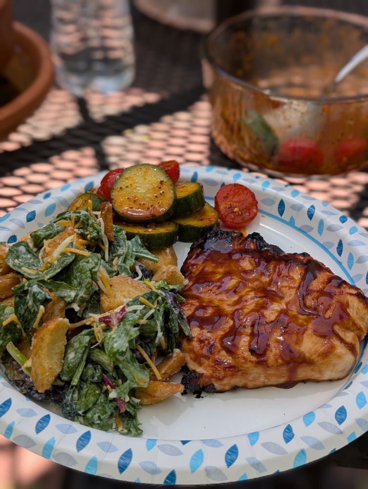 Grilled barbeque chicken with salad and vegetables on a paper plate.
