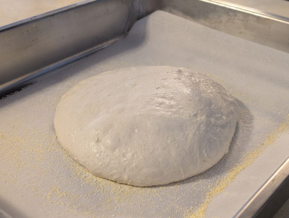 A round of bread dough, starting its final rise before baking.