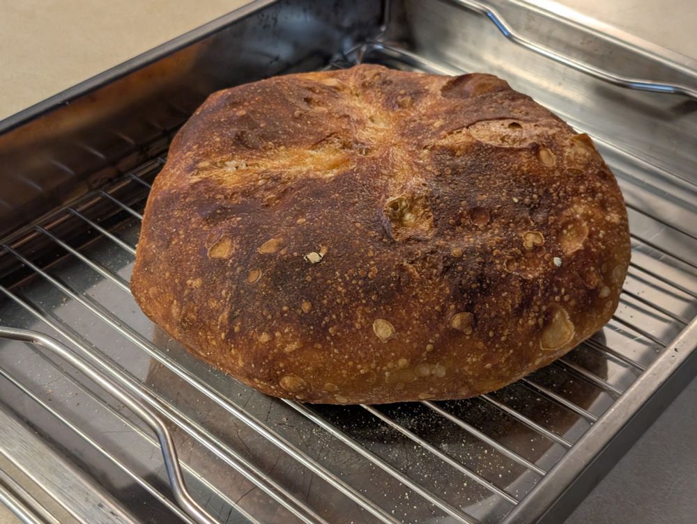Fresh out of the oven, a round, rustic loaf of sourdough bread on a cooling rack.