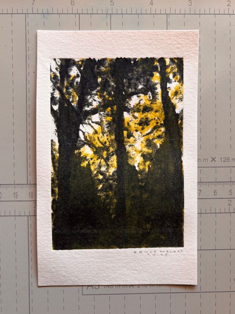 Photograph of an oil monotype. The image is of a Forrest opening with yellow light hitting the tops of trees and dark silhouettes of foreground trees and leaves. The photo is on a cream guillotine grid. 