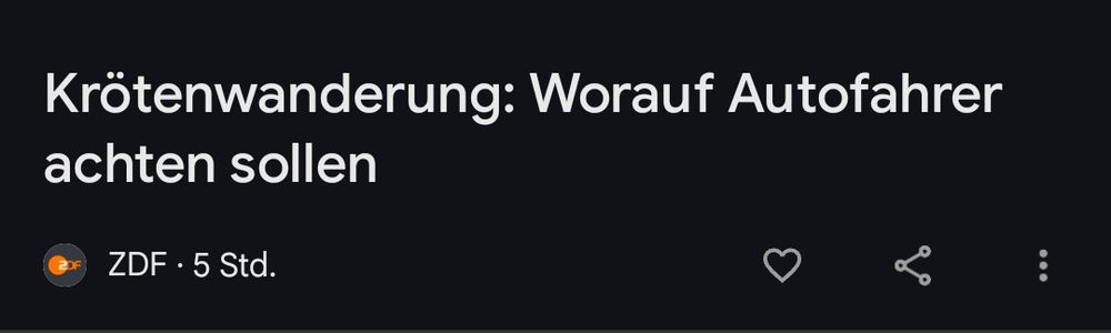 "Krötenwanderung: Worauf Autofahrer achten sollten"