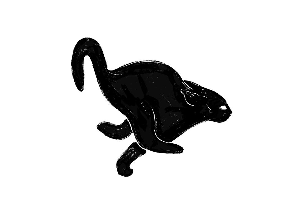 desenho de gato correndo