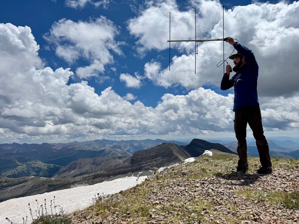 A ham radio operator holds a Yagi-Uda antenna built for the 2 meter band on a summit. There is a snow field in the foreground and peaks in the background. The sky is cloudy.