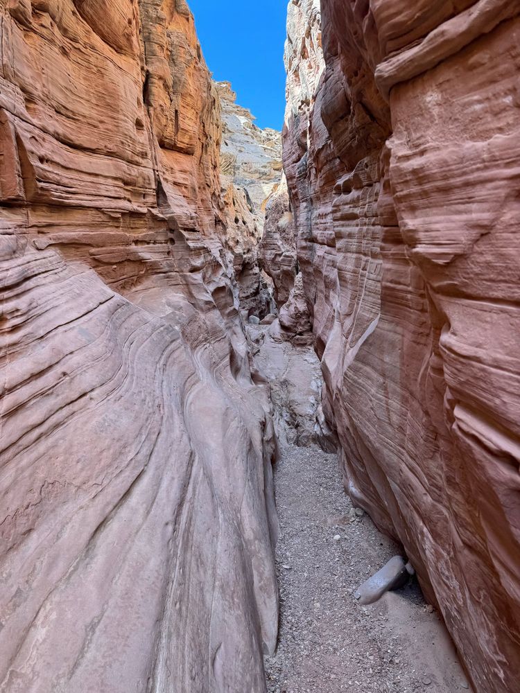 A narrow slot canyon with wavy sandstone walls. 