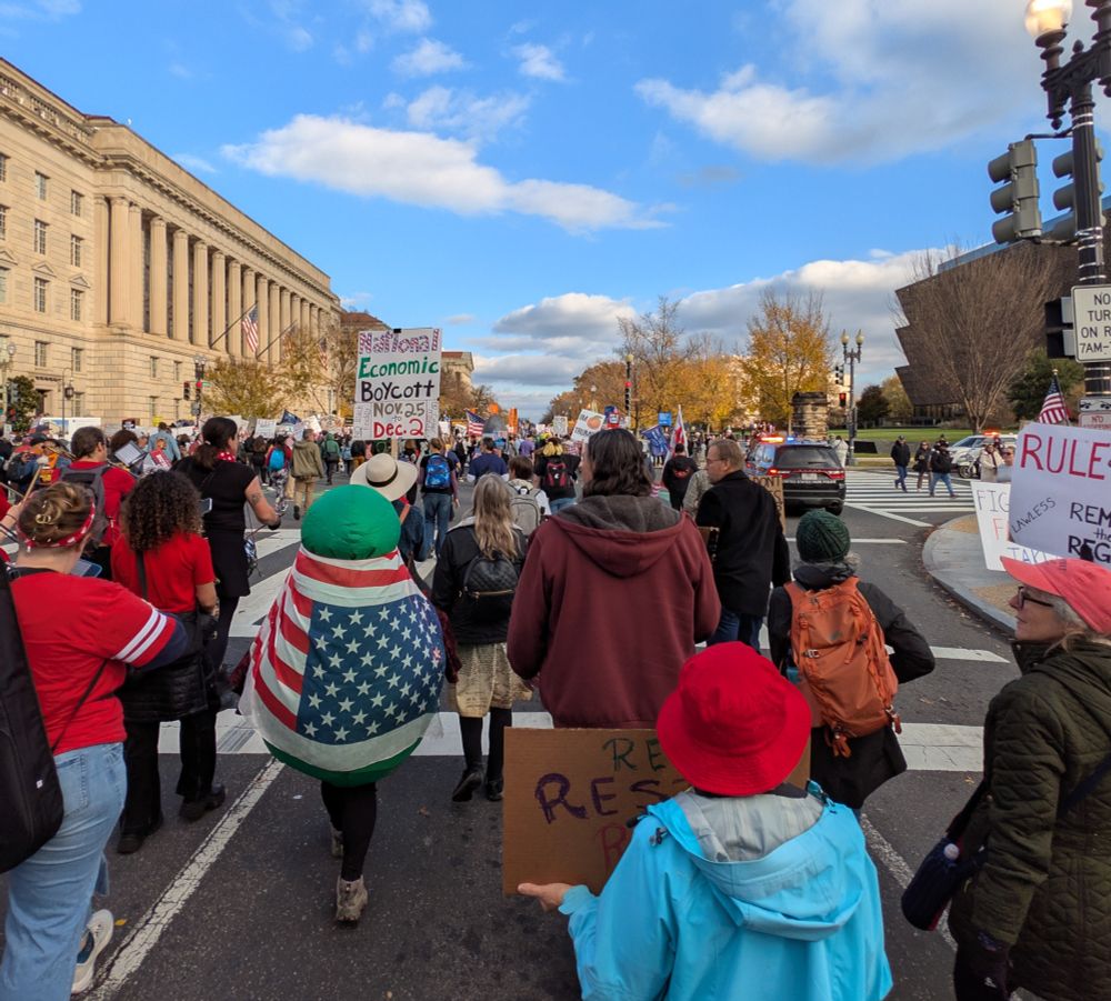 The crowd at Remove the Regime.