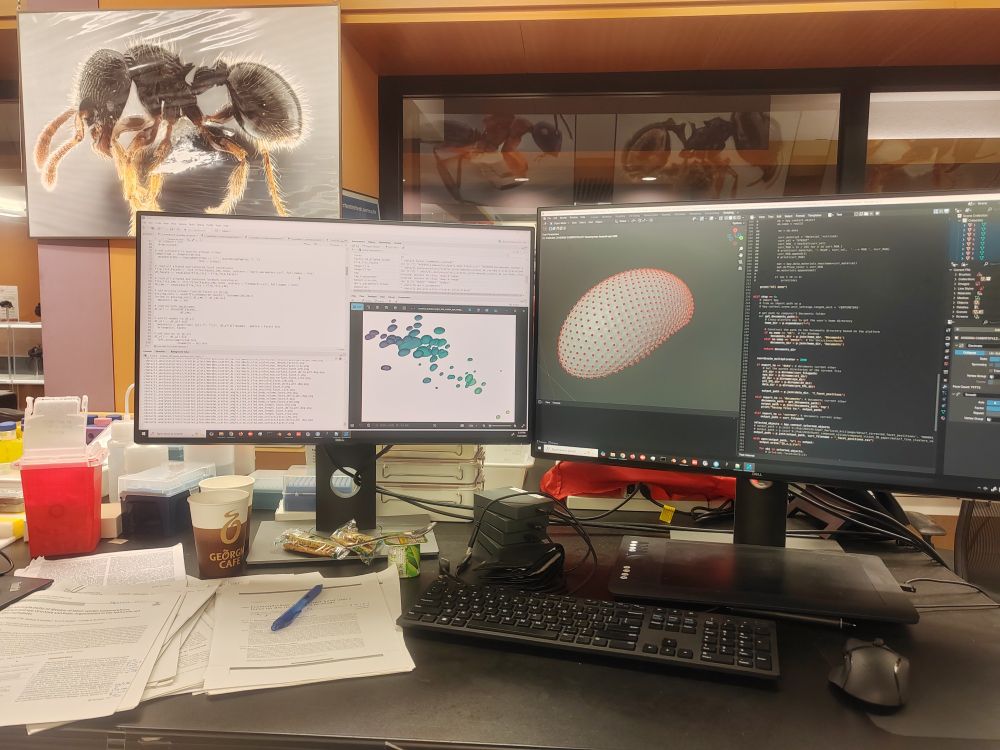 Workplace with a 3D model of an ant eye on one of the screens and an large ant macro photo in the background.