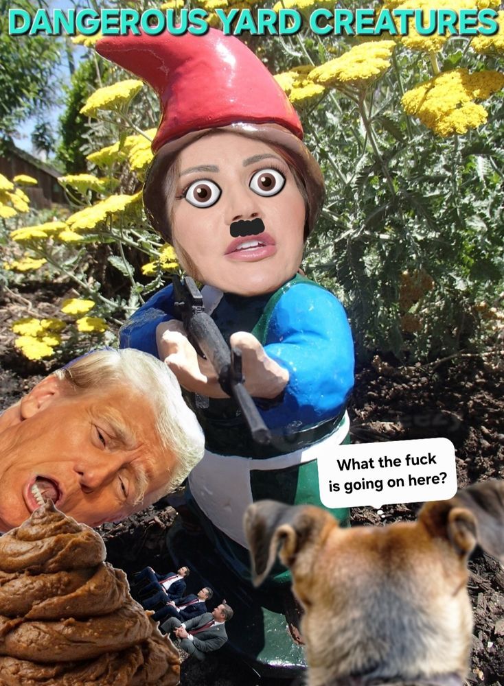 Comment image