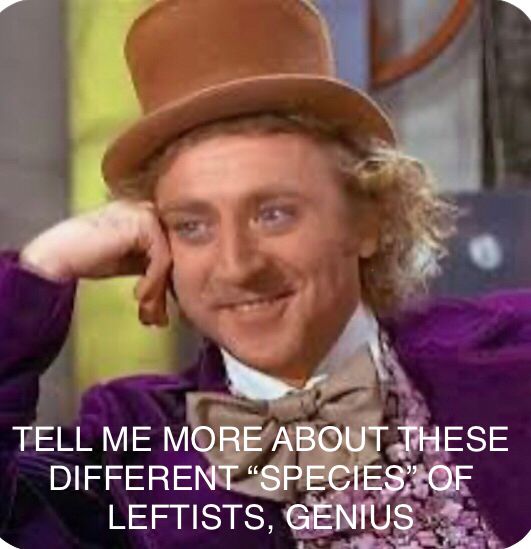 Condescending Wonka meme. Text reads - Tell me more about these different species of leftists genius’s 
