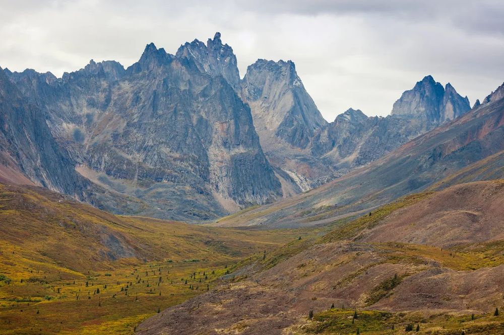 Meadows and mountains - Kluane or Tombstone mountains, Yukon, Canada