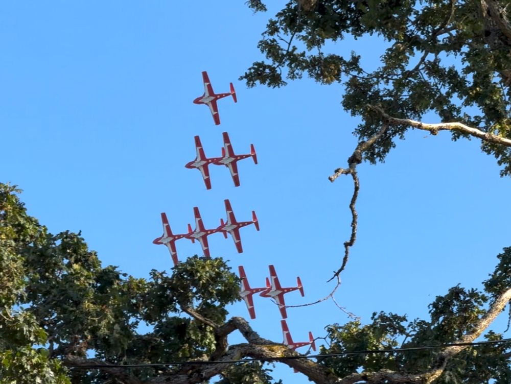 The Canadian Forces #Snowbirds aerobatic team flying over Victoria, BC, Canada.