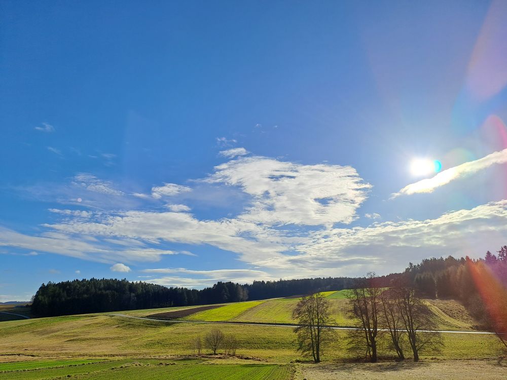 Typische waldviertler Felder- und Waldlandschaft (ohne Schnee) unter strahlend blauem Himmel mit ein paar weißen Wölkchen.