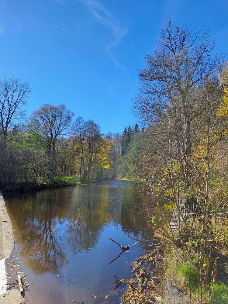 Kamp bei der Wehr in Stift Zwettl, die herbstliche Uferbewachsung spiegelt sich im Wasser.