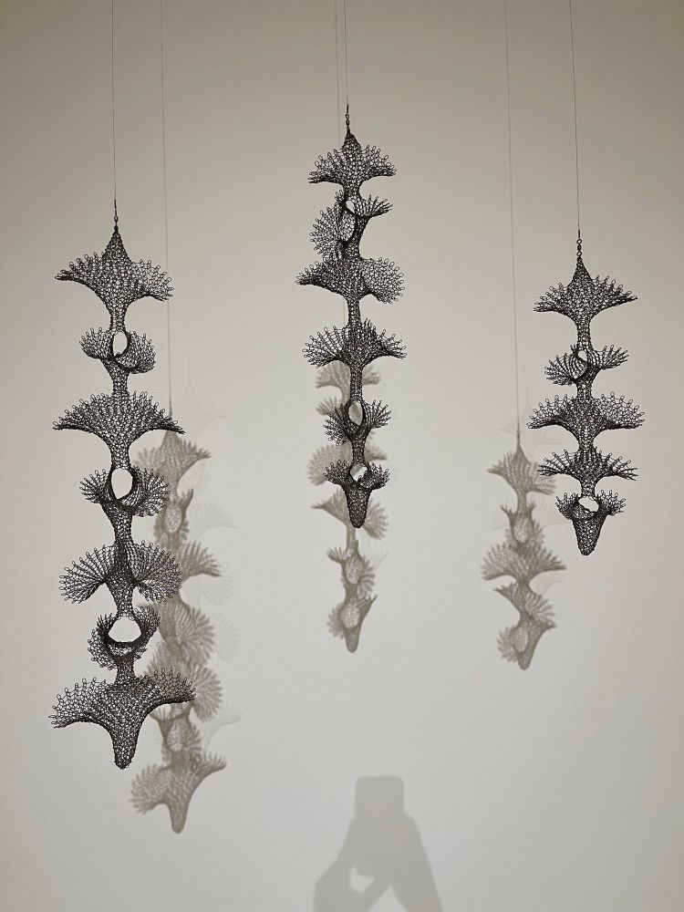 3 Sculptures by Asawa lit to cast shadows against the white wall, long hanging metal weaves, delicate but made of metal wire. These are somewhat reminiscent of sea anemone fractals or something. 