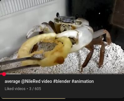 video titled "average NileRed video" but the wrong video is there, of a crab eating an onion ring