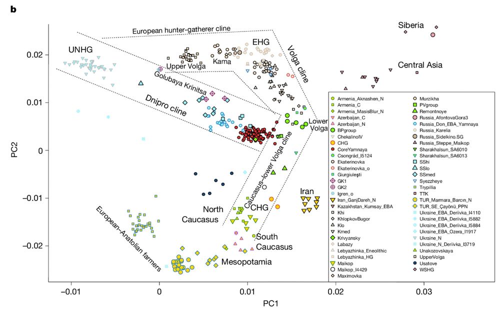 Figure 1b from https://www.nature.com/articles/s41586-024-08531-5/figures/1
