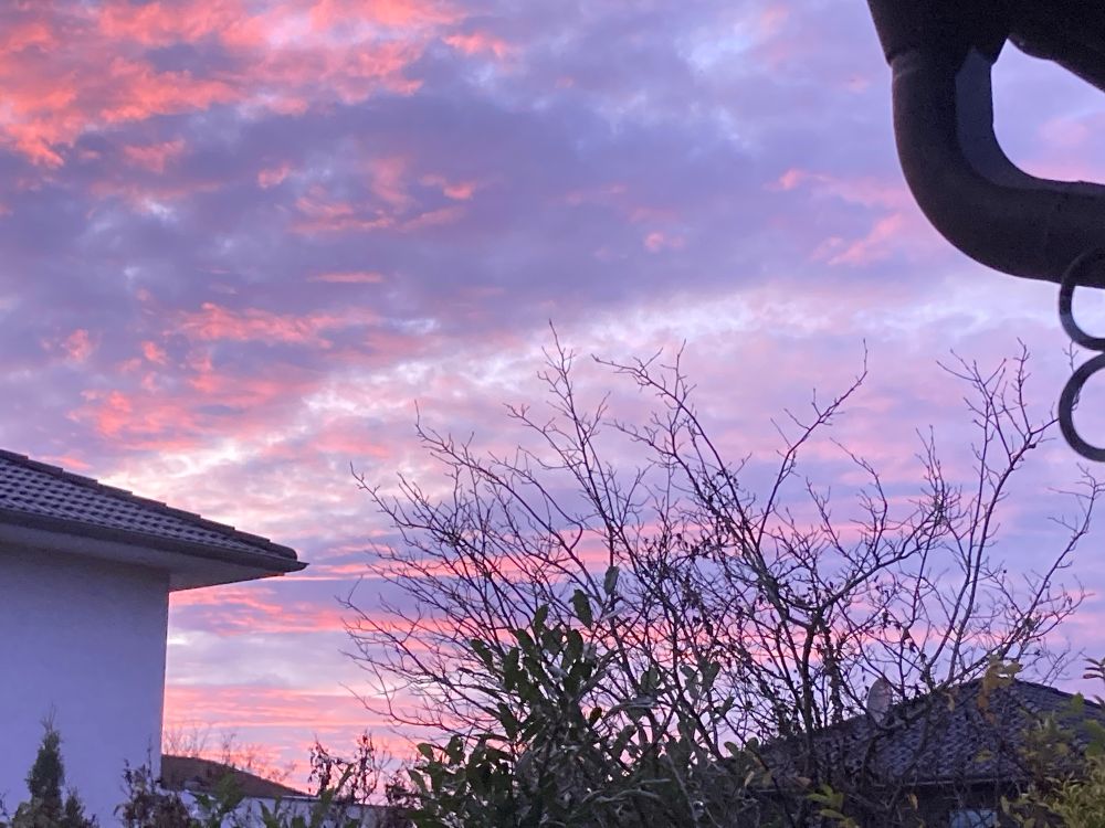 Links ein Teil eines weißen Hauses. Unten kahle Äste. Der Himmel blau, lila und rot mit weißen Streifen: 