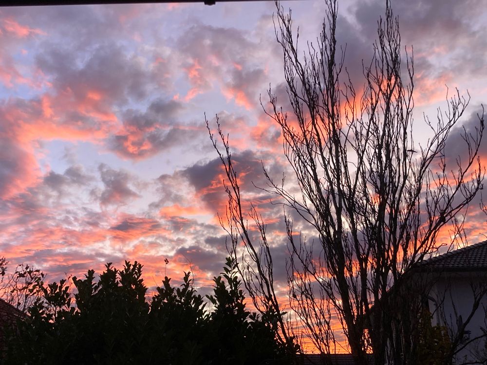 Graue Wolken von rotem Licht erhellt. Im Vordergrund ein kahler Baum. 