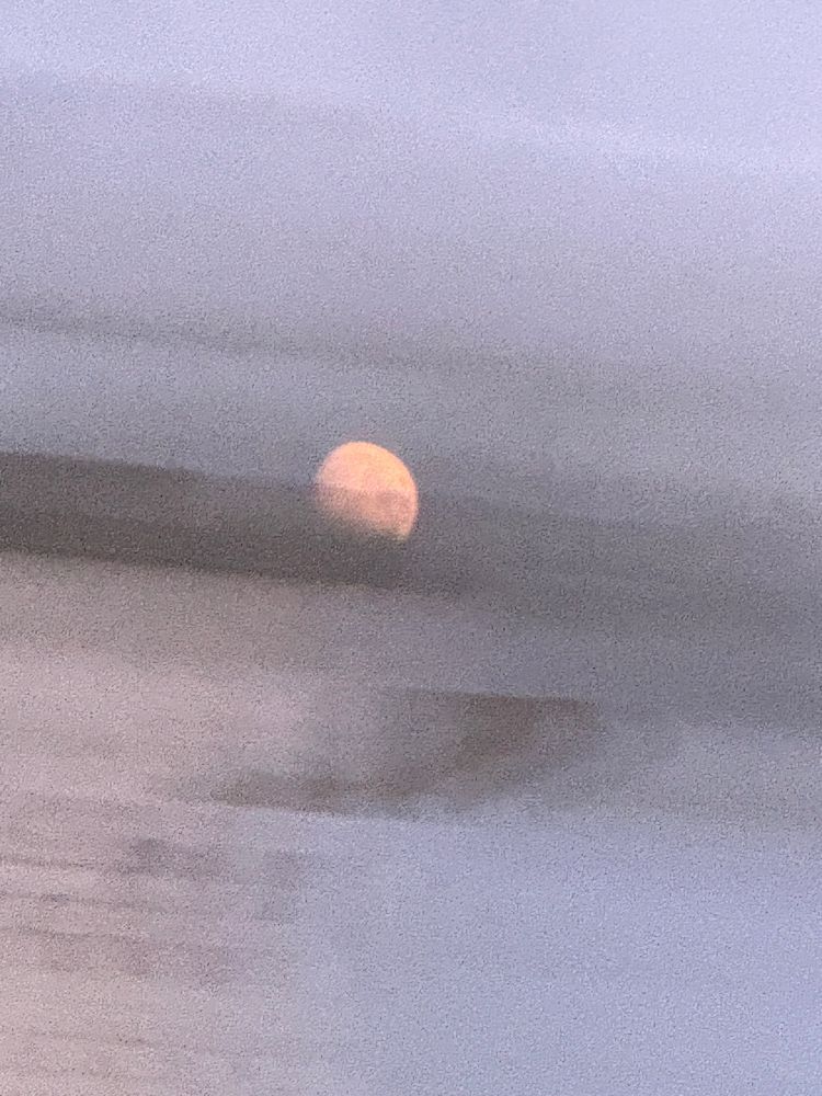 A waxing gibbous moon, she’ll pink, in a cloudy dusk sky. The iPhone has distorted the pixels to chalky strata from grey to black to pastel blues and pinks