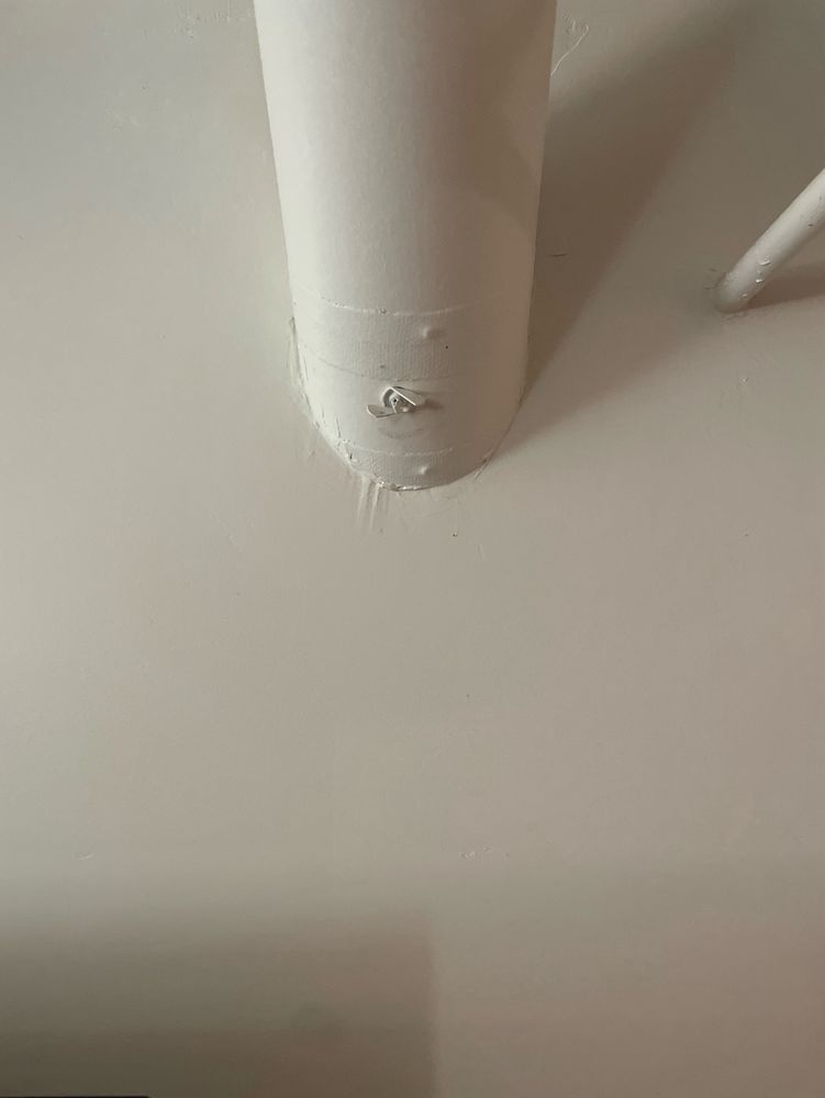 tiny unmarked wingnut on a basement wall 