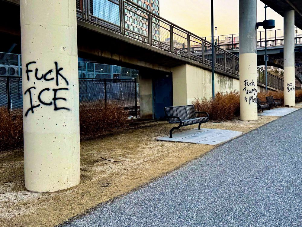 Graffiti at Philly’s schukyll river walk reading:

FUCK ICE 
FUCK TRUMP & MUSK
GO BIRDS