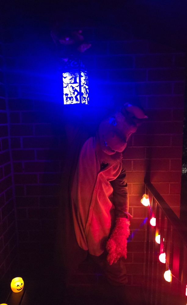 Dapper holding a lantern on a darkened balcony 