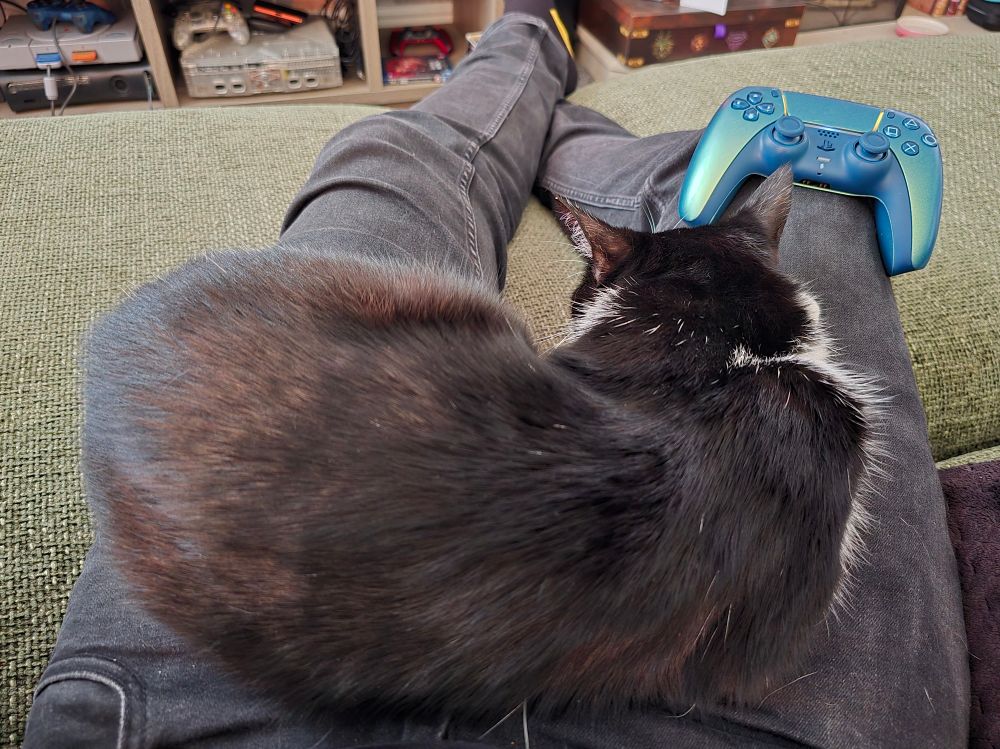 A black and white cat called coco asleep on my lap.