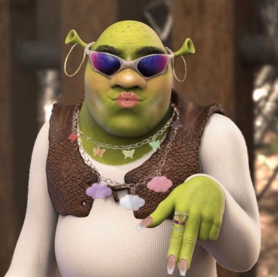 meme de shrek qui slay avec des créoles, des lunettes et des bijoux en mode coquette