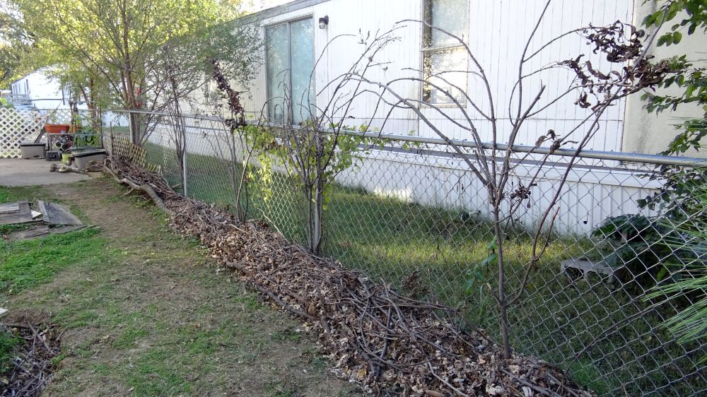 Same, from the other side.