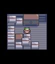 May in the back of a moving truck in Pokémon emerald 