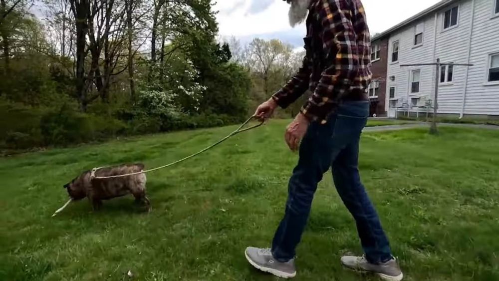 Dying Massachusetts man makes plea for help rehoming his beloved dog