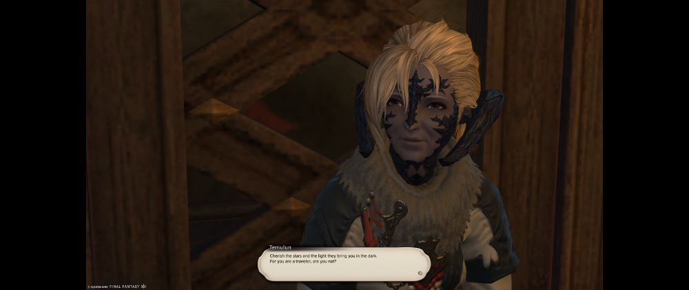 Temulun, leader of the Mol Tribe.
"Cherish the stars and the light they bring you in the dark," she says, "for you are a traveler, are you not?"
A traveller, yes. Perhaps one might even say, The Wanderer.
And one who very much relies on the light of hope in a decisive battle against darkness, out amongst the stars...